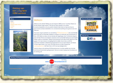Website Hogetoorn