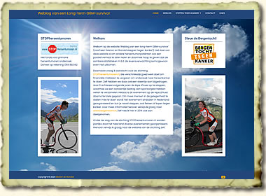 Website Hogetoorn.net